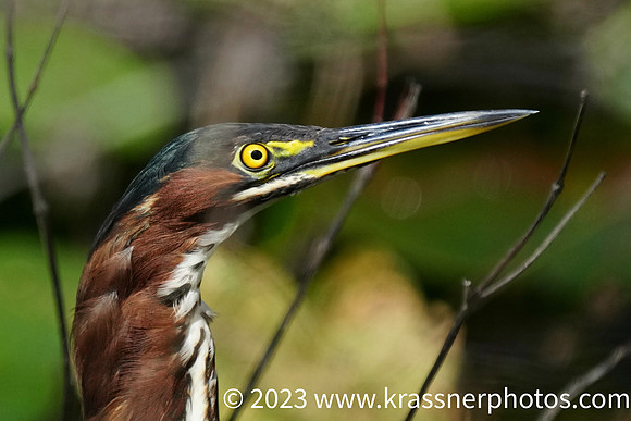 IMG_1850