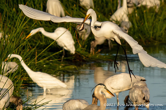 DSC03089-2-topaz-denoise-sharpen-wm