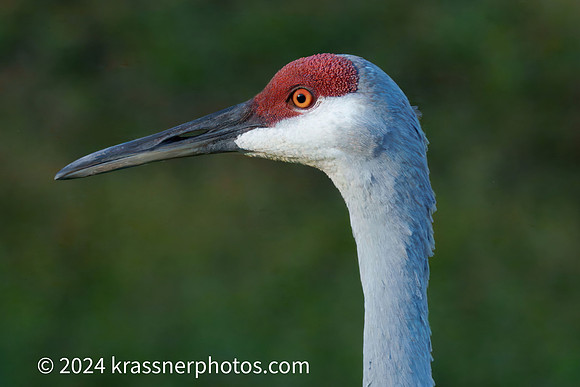 IMG_2320